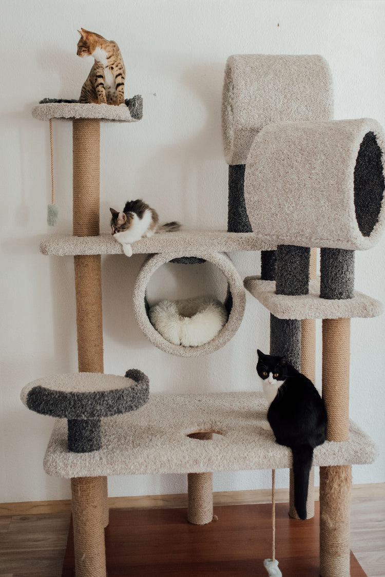 Arbre-à-chat Trendycat
