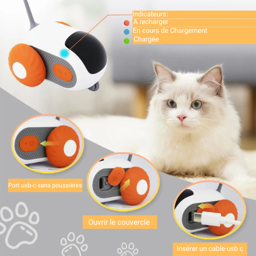 Souris intelligente télécommandé mouse™ Trendycat