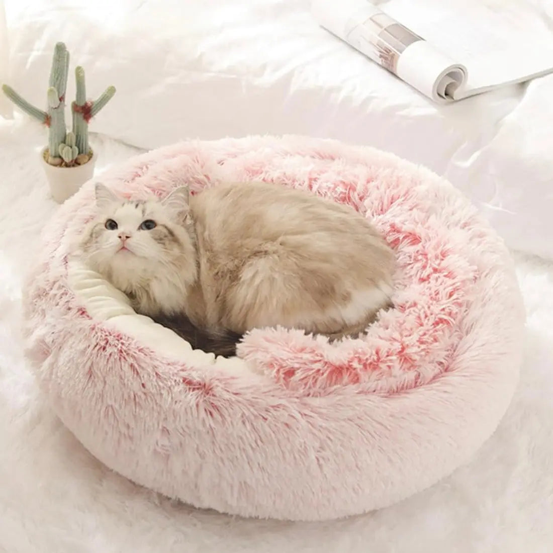 Coussin pour chat Cosycat™