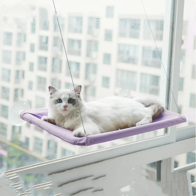 New pet cat hammock hanging cat bed bearing 20 kg comfortable sunny window seat kitten rock climbing frame pet supplies Trendycat