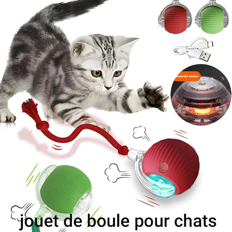 New Cat Interactive Ball Toy,Automatic Rolling Cat Ball Rechargeable,Smart Kitten Interactive Toy,Intelligent Balls Toy for Cat Trendycat