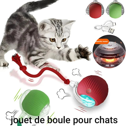 New Cat Interactive Ball Toy,Automatic Rolling Cat Ball Rechargeable,Smart Kitten Interactive Toy,Intelligent Balls Toy for Cat Trendycat