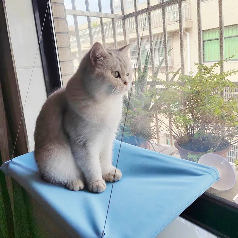 New pet cat hammock hanging cat bed bearing 20 kg comfortable sunny window seat kitten rock climbing frame pet supplies Trendycat