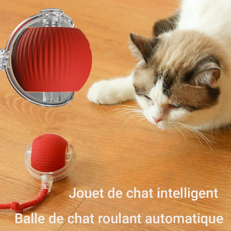 New Cat Interactive Ball Toy,Automatic Rolling Cat Ball Rechargeable,Smart Kitten Interactive Toy,Intelligent Balls Toy for Cat Trendycat