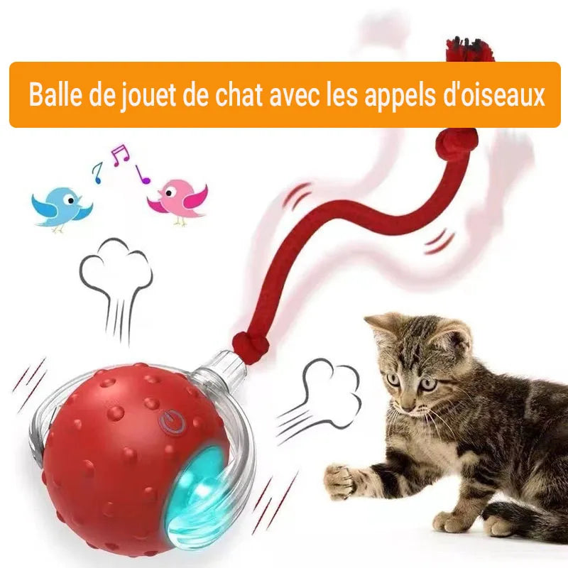 New Cat Interactive Ball Toy,Automatic Rolling Cat Ball Rechargeable,Smart Kitten Interactive Toy,Intelligent Balls Toy for Cat Trendycat