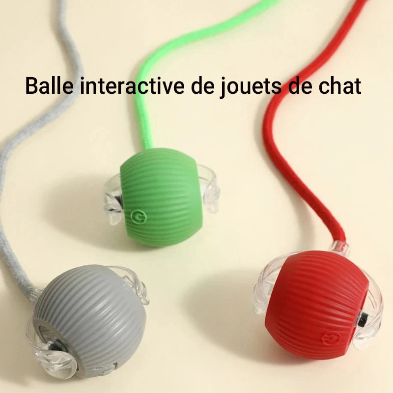 New Cat Interactive Ball Toy,Automatic Rolling Cat Ball Rechargeable,Smart Kitten Interactive Toy,Intelligent Balls Toy for Cat Trendycat