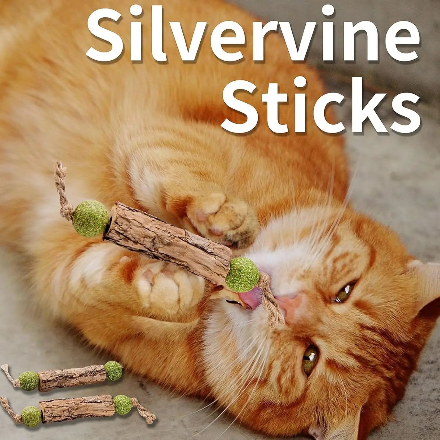 1pc Cat Cleaning Teeth Pure Natural Catnip Cat Molar Toothpaste Stick Silvervine Actinidia Fruit Matatabi Cat Snack Stick Trendycat