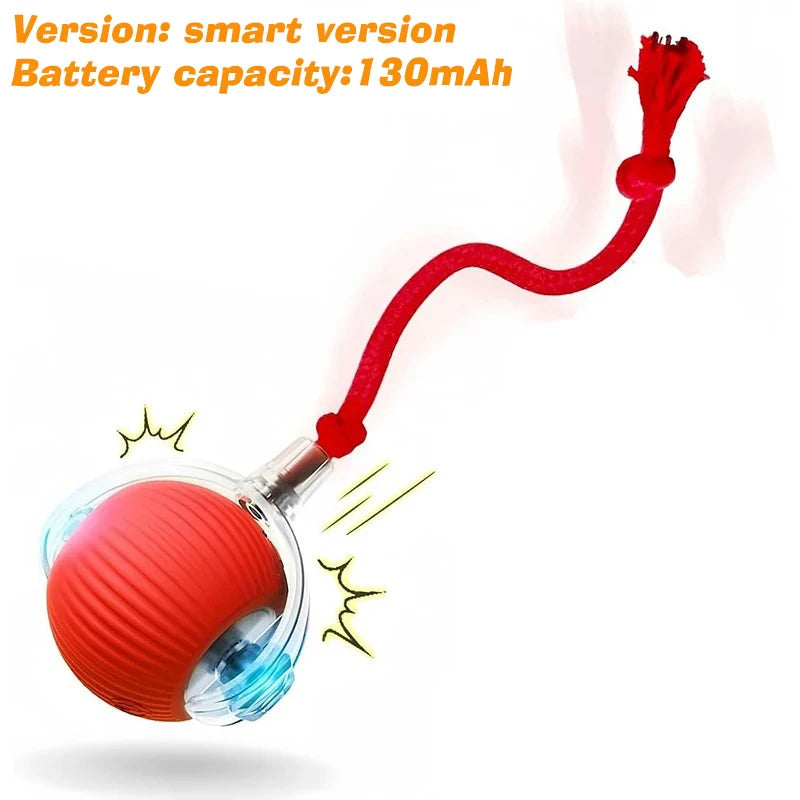 New Cat Interactive Ball Toy,Automatic Rolling Cat Ball Rechargeable,Smart Kitten Interactive Toy,Intelligent Balls Toy for Cat Trendycat