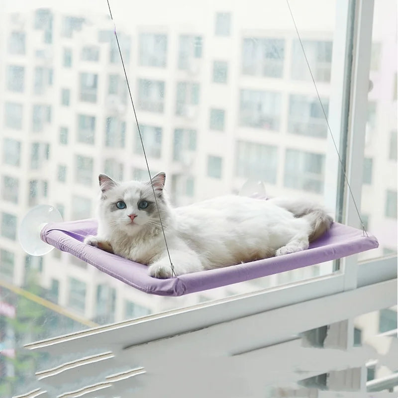 New pet cat hammock hanging cat bed bearing 20 kg comfortable sunny window seat kitten rock climbing frame pet supplies Trendycat