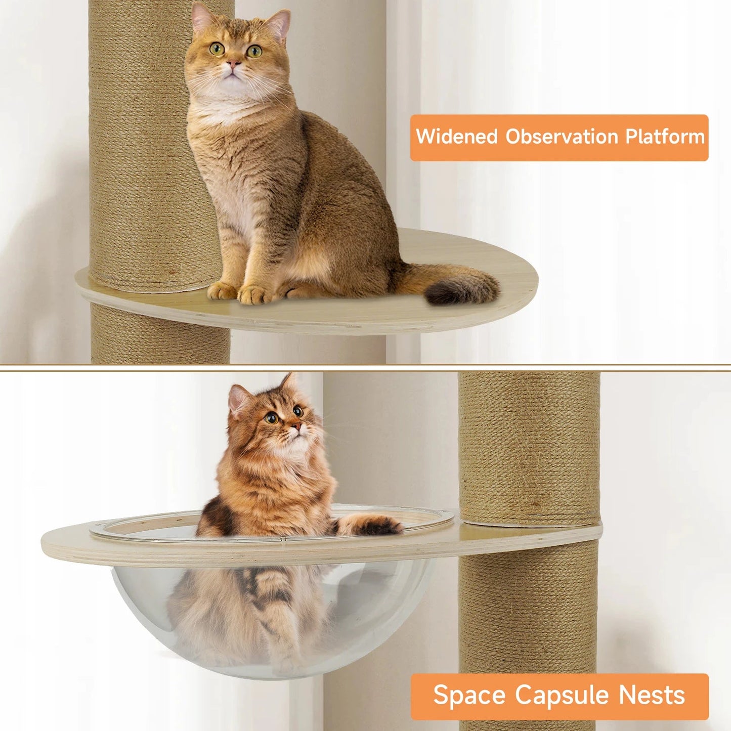 Minimalist Solid Wood Cat Tree, Multi-layer Platform Cat Climbing Frame, Spacious Cat Nest Sisal Scratching Post Pine Stable Base Indoor Pet Furniture Trendycat