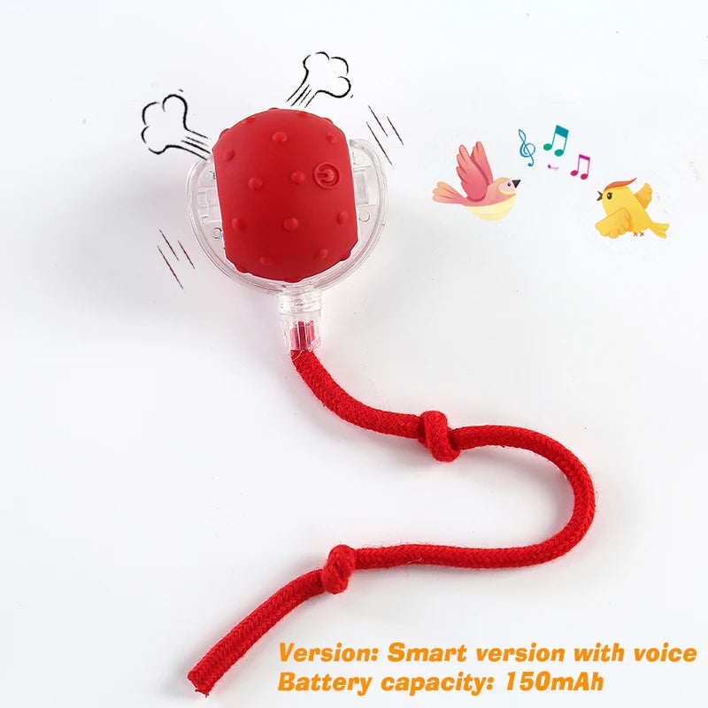 New Cat Interactive Ball Toy,Automatic Rolling Cat Ball Rechargeable,Smart Kitten Interactive Toy,Intelligent Balls Toy for Cat Trendycat