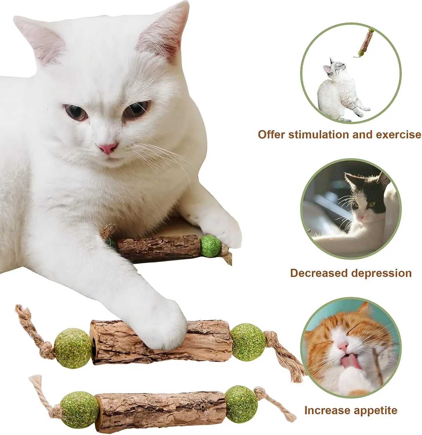1pc Cat Cleaning Teeth Pure Natural Catnip Cat Molar Toothpaste Stick Silvervine Actinidia Fruit Matatabi Cat Snack Stick Trendycat