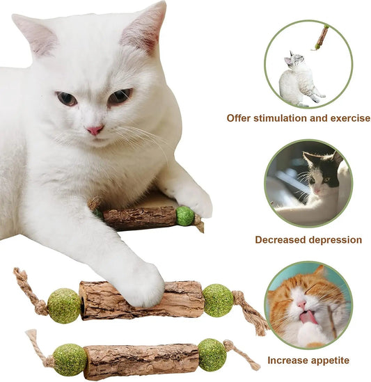 1pc Cat Cleaning Teeth Pure Natural Catnip Cat Molar Toothpaste Stick Silvervine Actinidia Fruit Matatabi Cat Snack Stick Trendycat