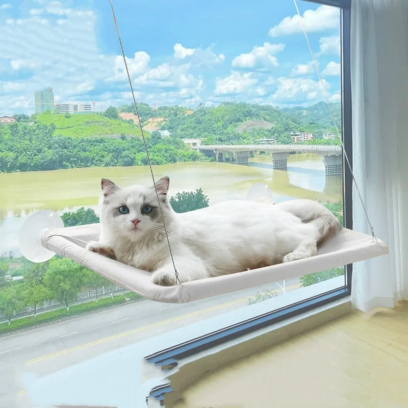 New pet cat hammock hanging cat bed bearing 20 kg comfortable sunny window seat kitten rock climbing frame pet supplies Trendycat