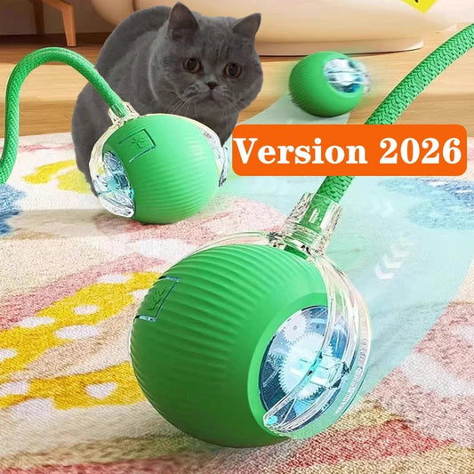 New Cat Interactive Ball Toy,Automatic Rolling Cat Ball Rechargeable,Smart Kitten Interactive Toy,Intelligent Balls Toy for Cat Trendycat